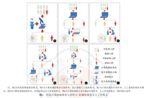 人工智能技術(shù)在宮頸細(xì)胞篩查中的應(yīng)用進(jìn)展與挑戰(zhàn)