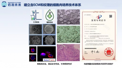 細(xì)胞培養(yǎng)肉技術(shù)新突破 佰鴻引領(lǐng)國(guó)際微載體誘導(dǎo)成肌技術(shù)，開創(chuàng)蛋白新篇章