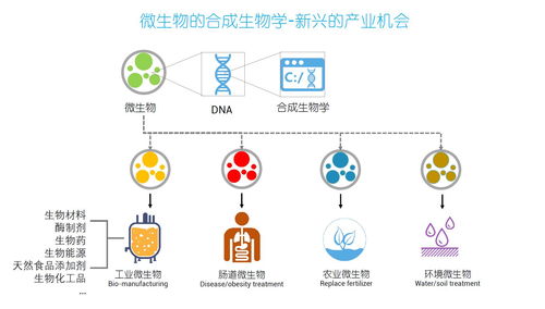 細胞工廠 PHA從實驗室到商業化的成長之路
