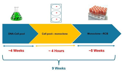 人工智能重塑細(xì)胞株開(kāi)發(fā) Klone 4.0引領(lǐng)細(xì)胞技術(shù)新紀(jì)元