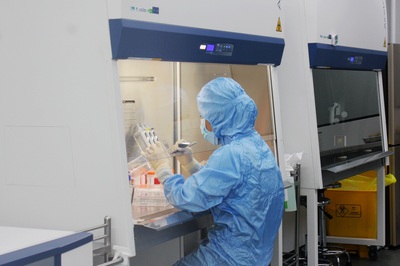 突破創(chuàng)新 恩聯(lián)干細(xì)胞生物科技研究院自主研發(fā)慢病毒凍存液技術(shù)獲專利受理